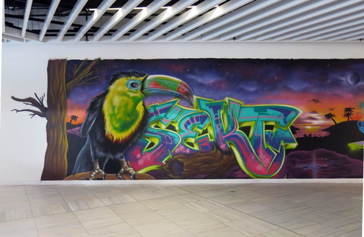 Sekt Graffiti Artist