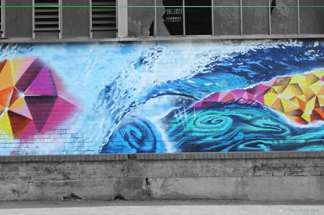 This Is Not Art Newcastle Street Art Festival Blackbook Ink Murals