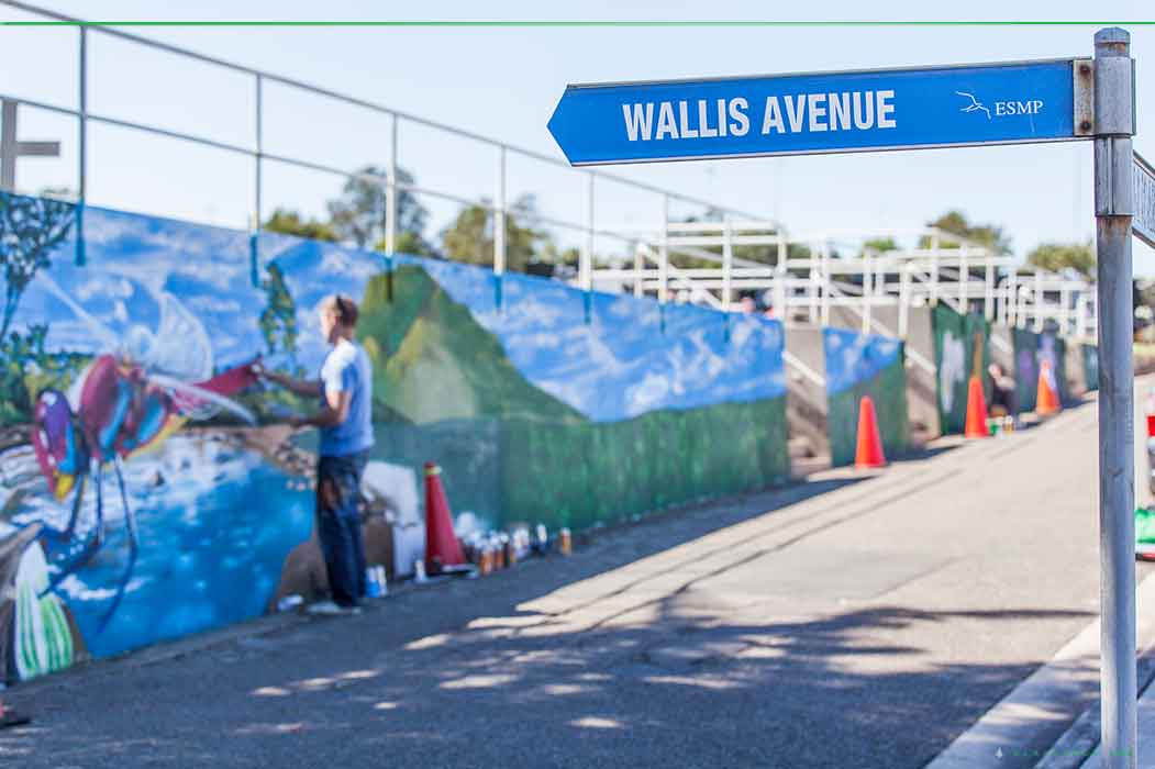 Public Art painted at Eastern Suburbs Memorial Park