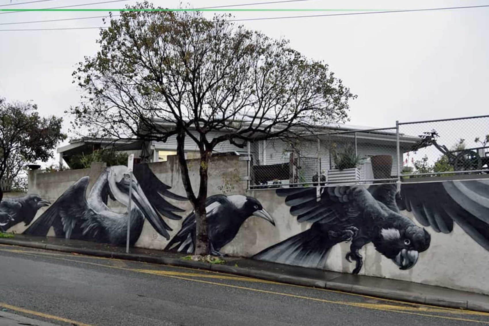 graffiti birds harvey jackson