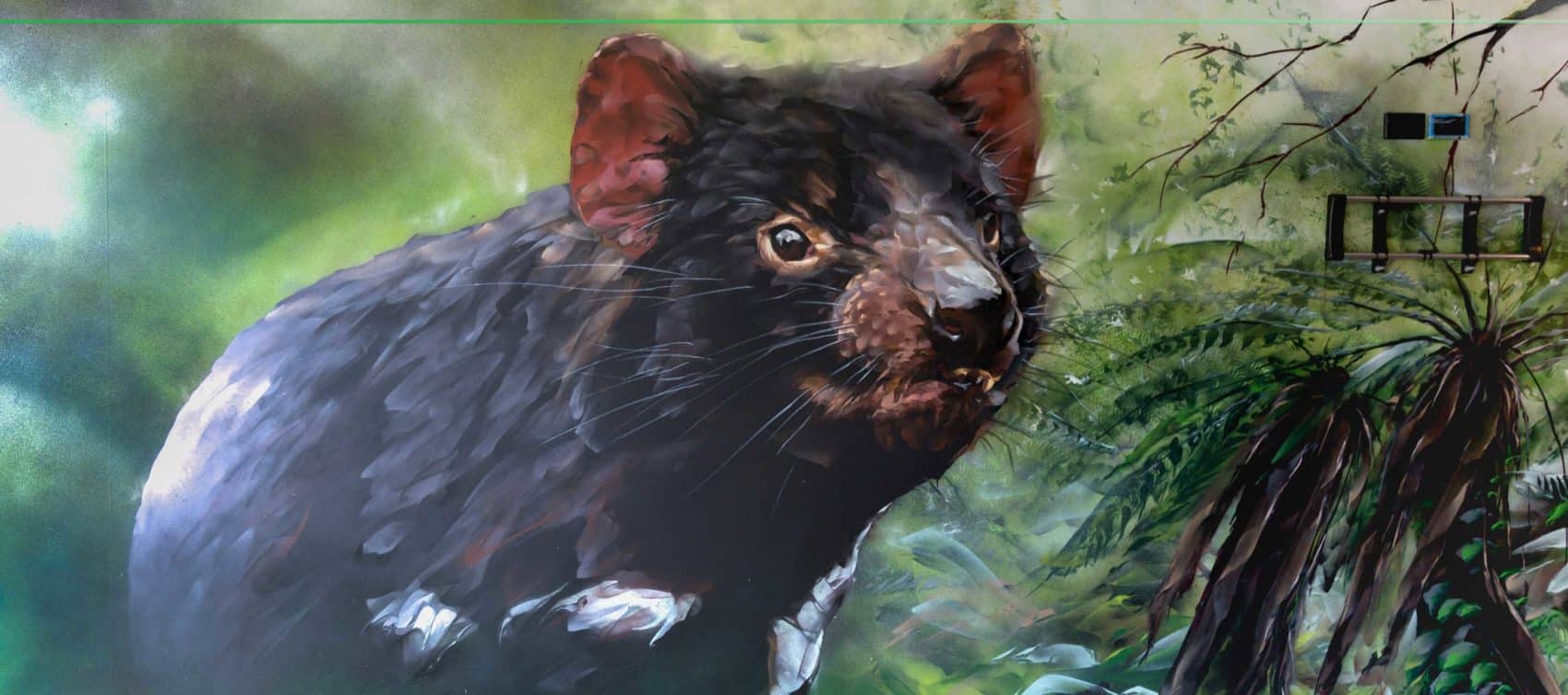 Tasmanian devil painted