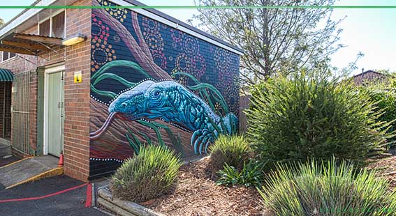 Collabaration mural with indigenous artist