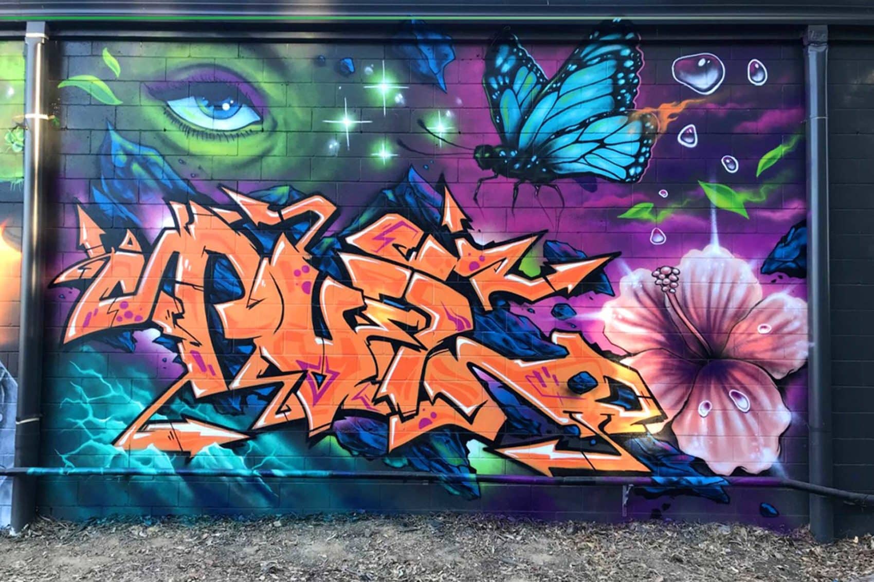 Graffiti artists Sydney