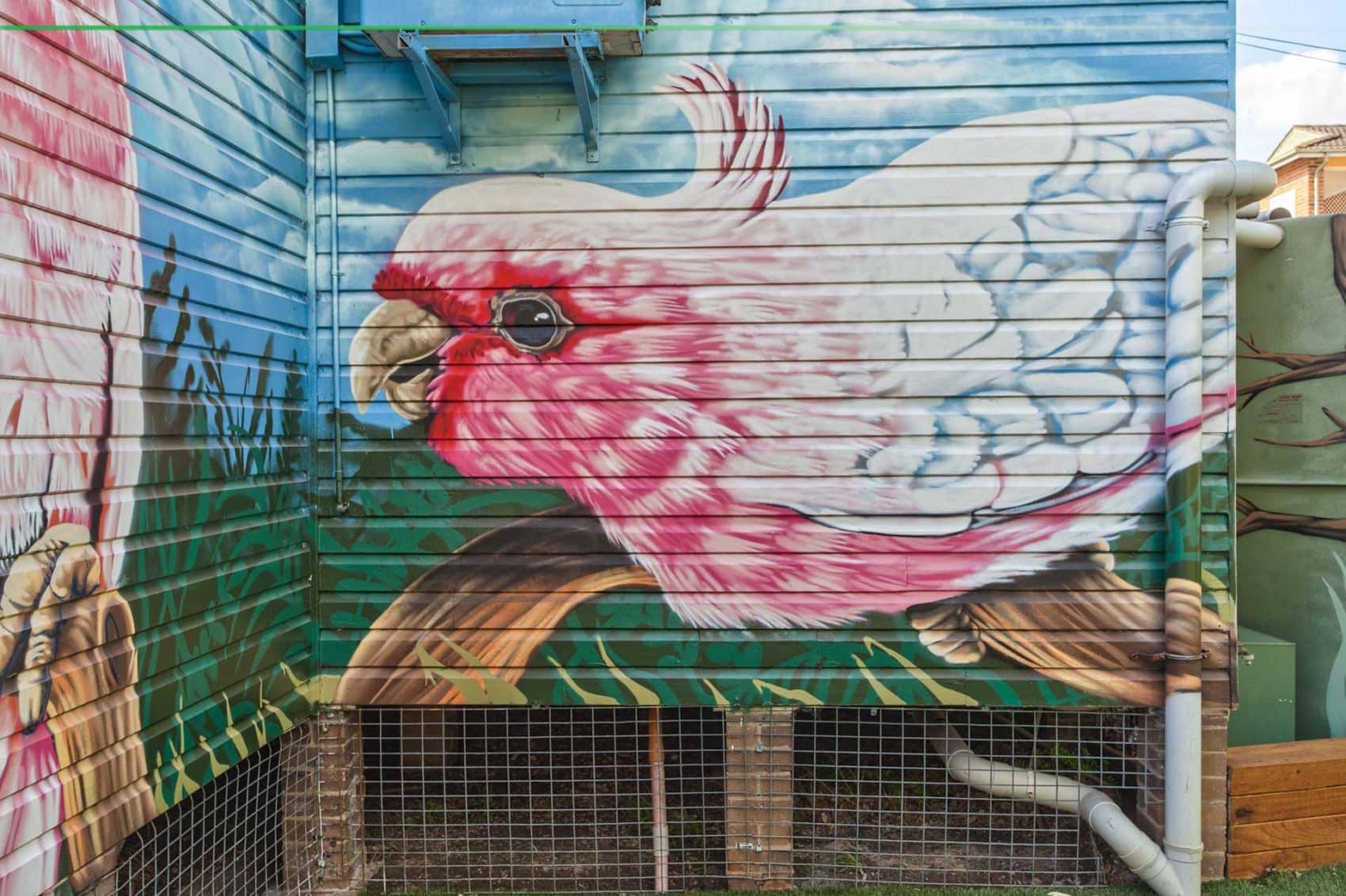 street art mural painted at Birrong Public School