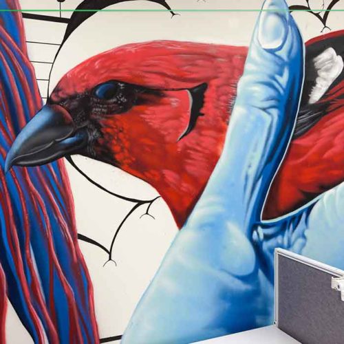 sydney graffiti artists