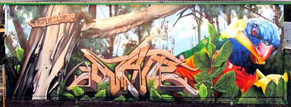 dvate melbourne graffiti artist lorikeet