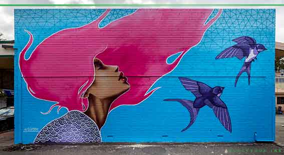 Leederville mural painted by sarsar