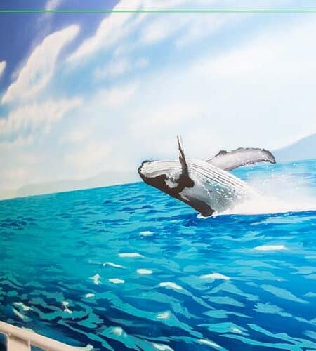 Humpback whale jumping out the water wall mural