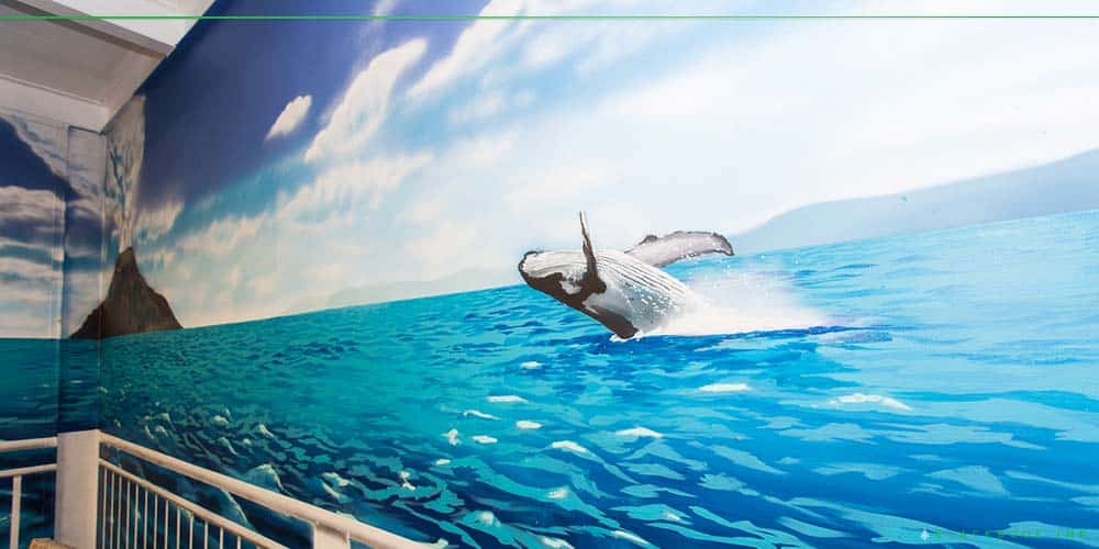 Humpback whale jumping out the water wall mural