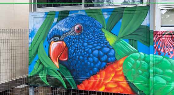close up of graffiti art lorikeet