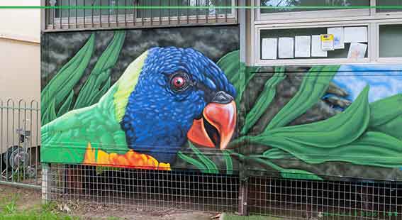 lorikeet mural painted at a school in Sydney by Sydney Mural Artists Blackbook Ink