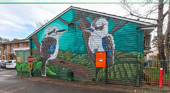 kookaburra school mural