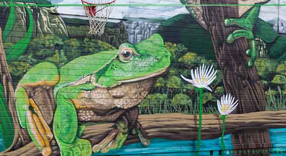 close up of spray painted frog