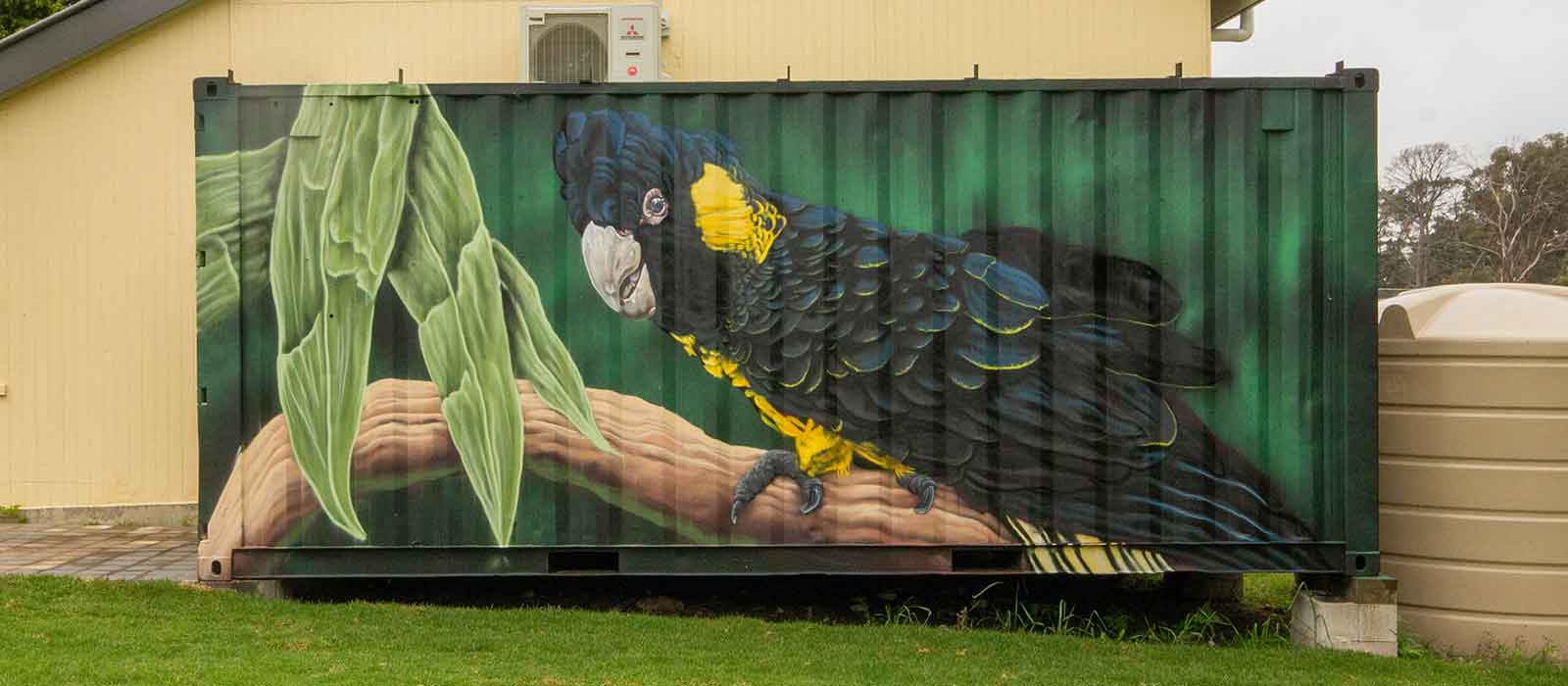 shipping container mural of black cockatoo