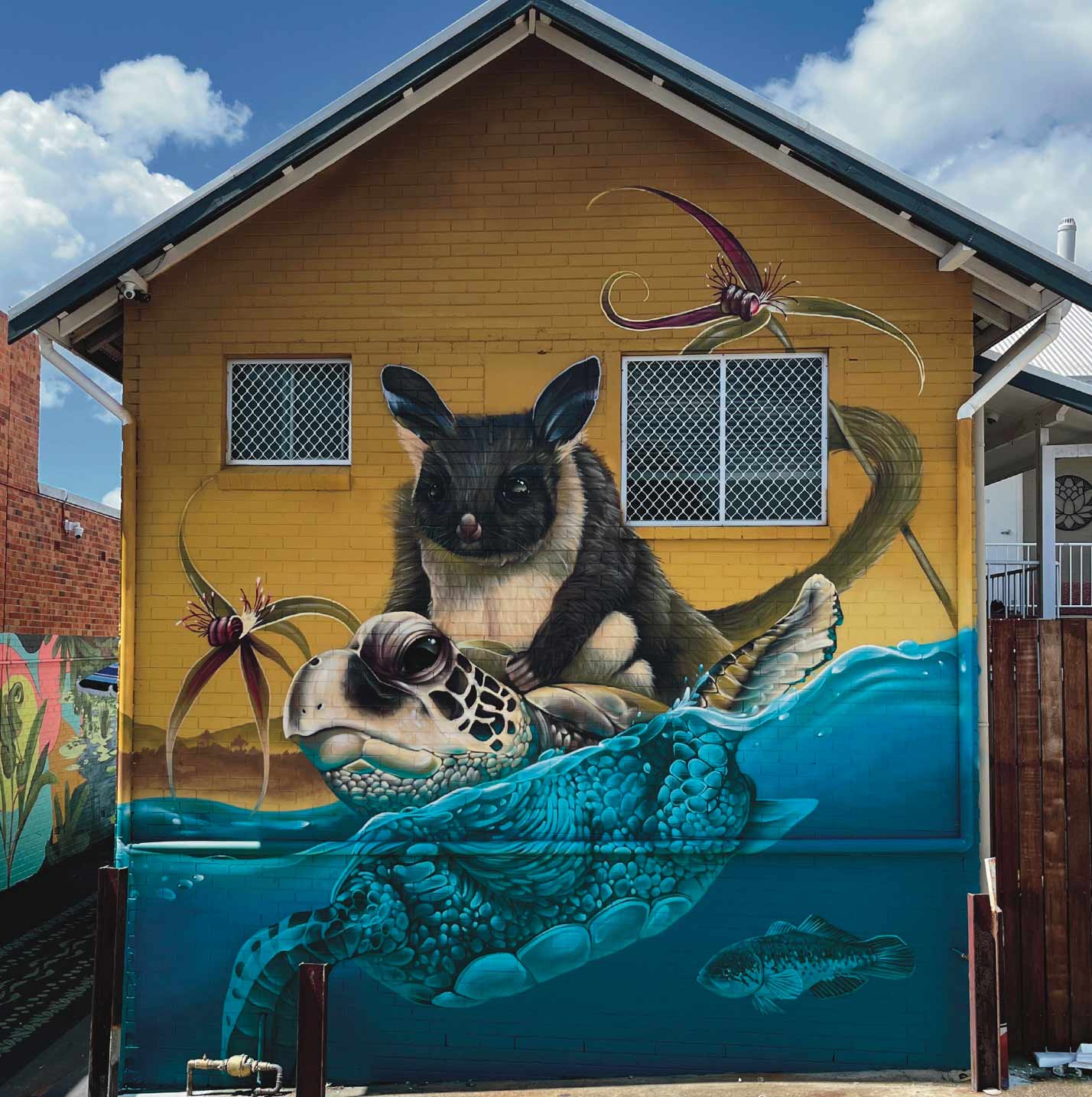 Mural of a sugar glider riding the back of a turtle. Painted by Melbourne based mural artist Alex Sugar
