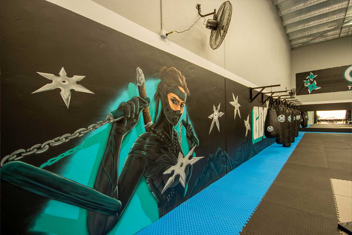 Comic style ninja painted for GDS Martial arts in Gregory Hills