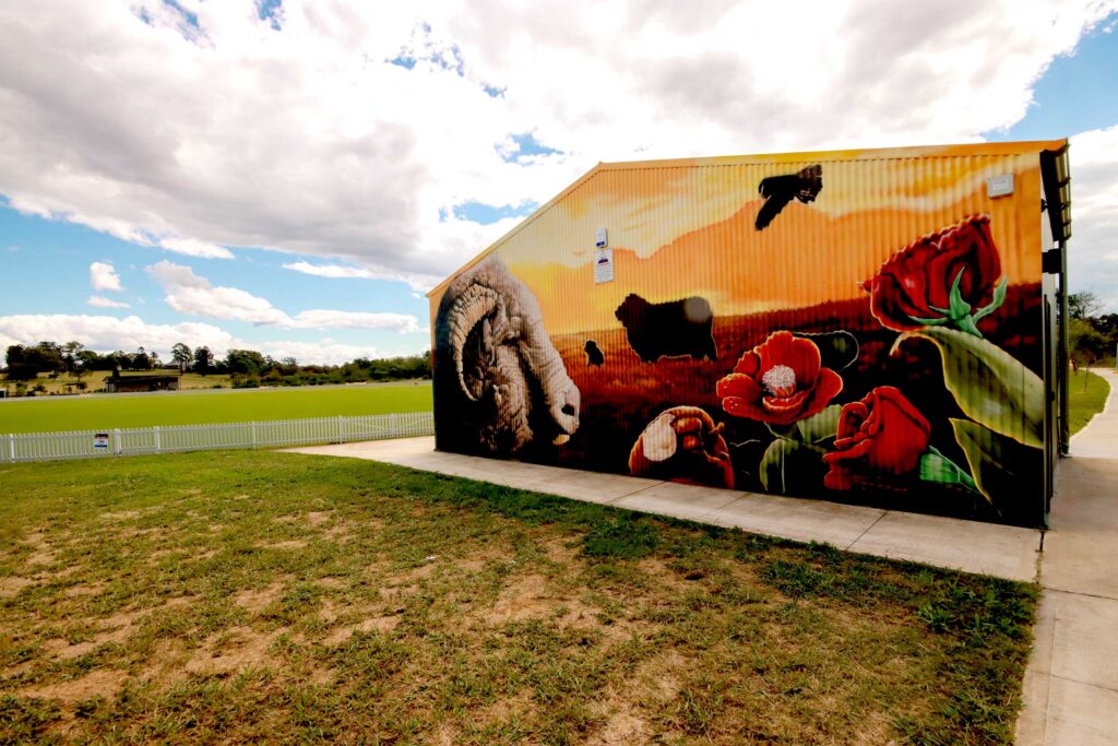 Detailed mural at Ferguson Grounds highlighting the history and passion of cricket in Camden NSW