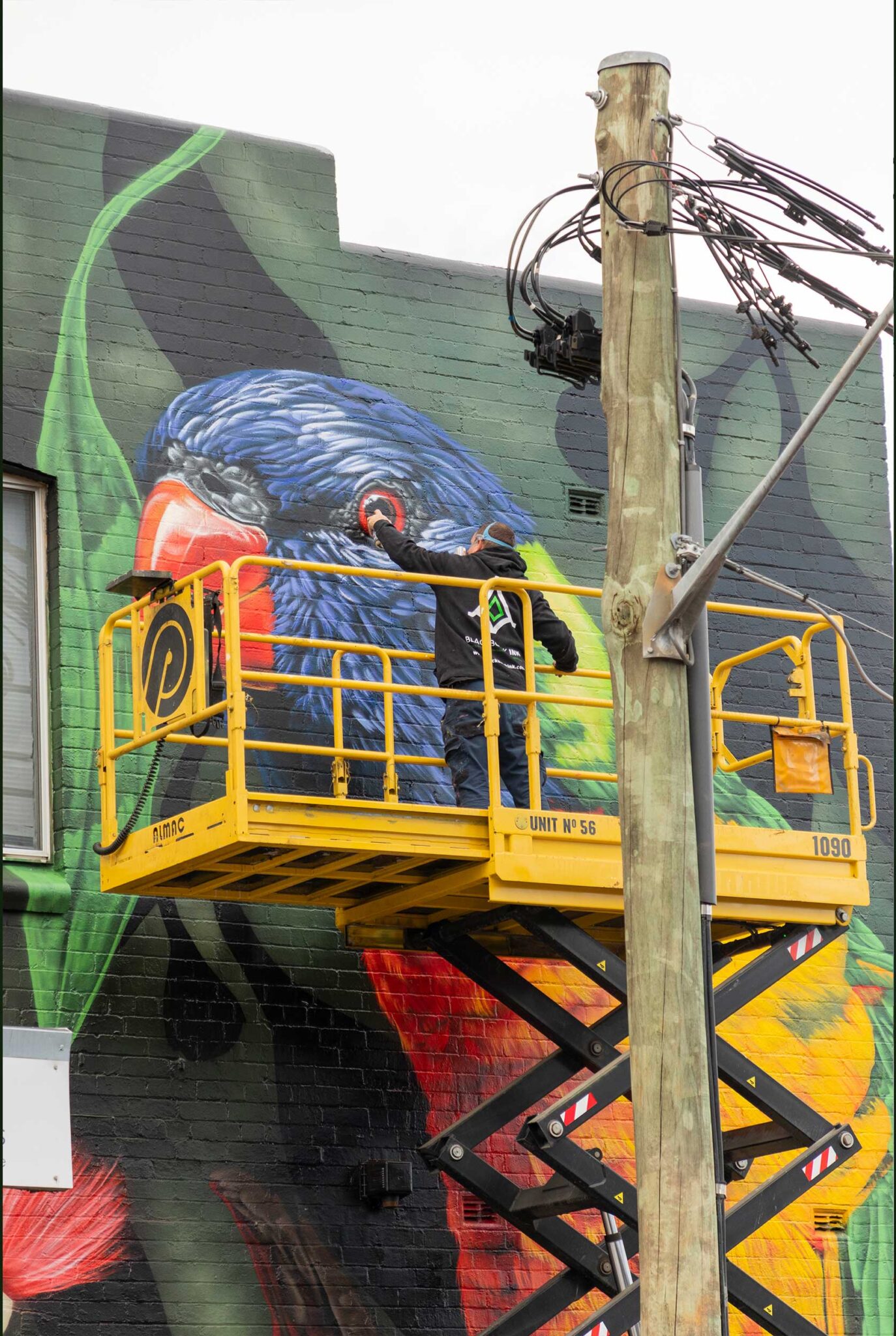 Graffiti artist painting a mural in West Ryde for City of Ryde Council through a Arts grant won