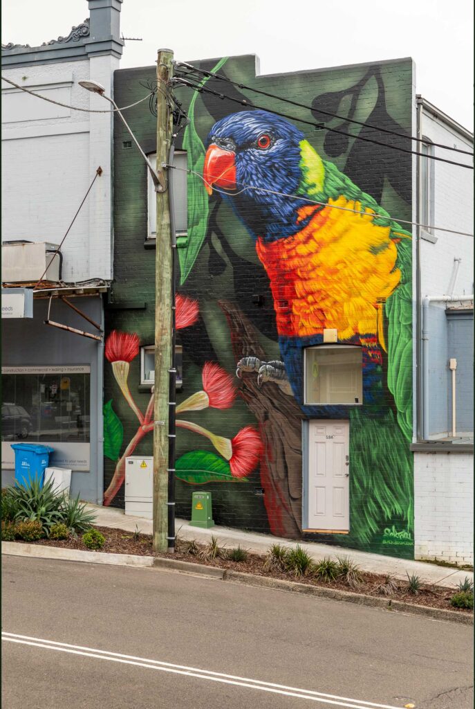 West-Ryde-Bird-Mural-8 Sydney Public Art Mural in West Ryde