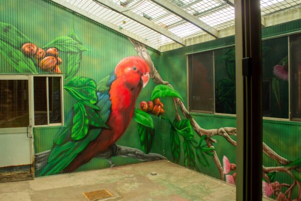 Atrium mural of a Male King Parrot at a Sydney High School