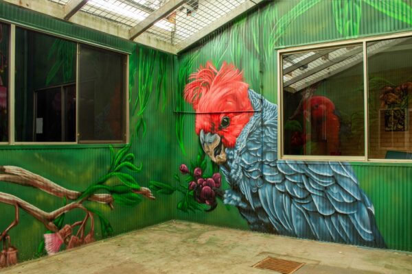 Gang gang cockatoo painted inside of an Atrium as part of a mural project in Sydney
