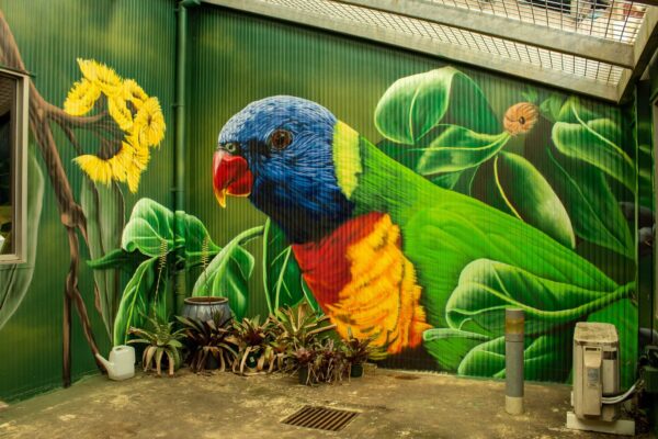 Rainbow Lorikeet Mural inside an Atrium at a school in South West Sydney