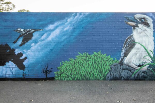 School mural painted in Western Sydney of a Kookaburra