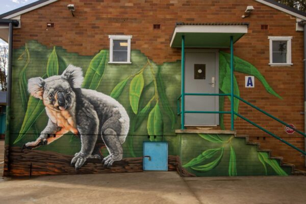 Graffiti Art painted at South West Sydney School