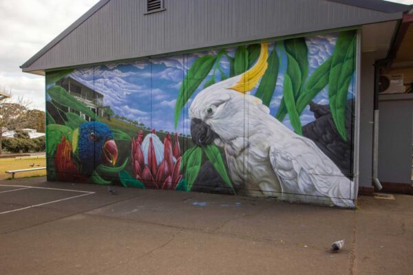 Graffiti mural painted at Campbelltown Public School