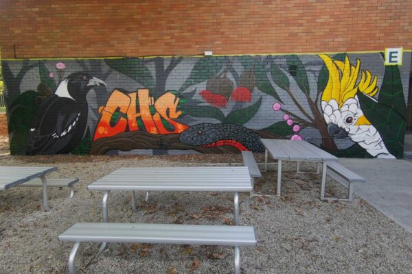 workshop based mural with students in Sydney