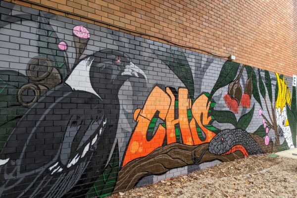Graffiti Art workshop mural painted at Caringbah High School