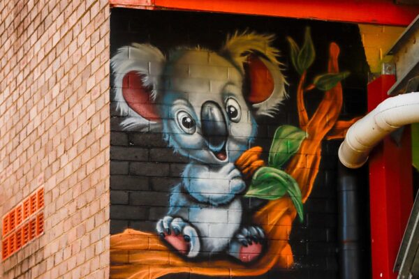 graffiti koala character painted for a School in Sydney