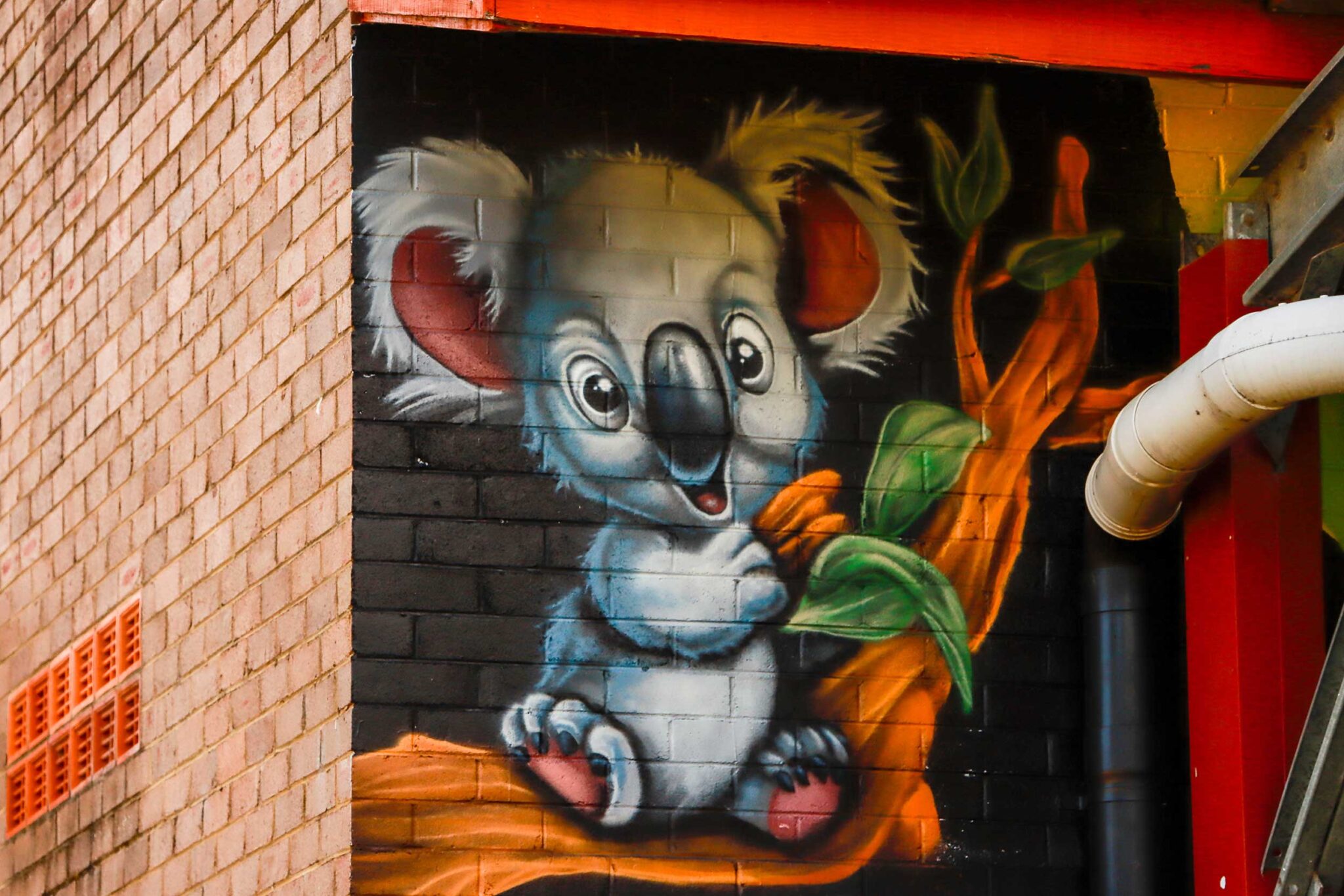 graffiti koala character painted for a School in Sydney