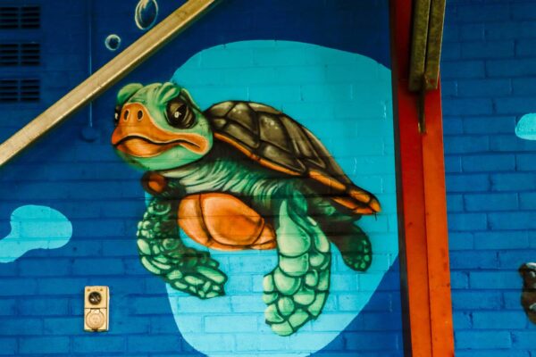 close up of sea turtle on a school mural