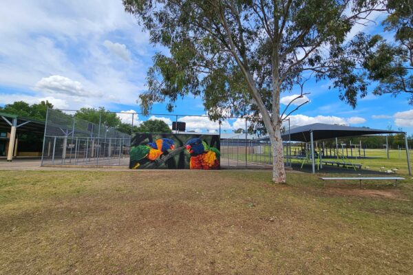 a mural of rainbow lorikeets painted outdoors for a school in Sydney