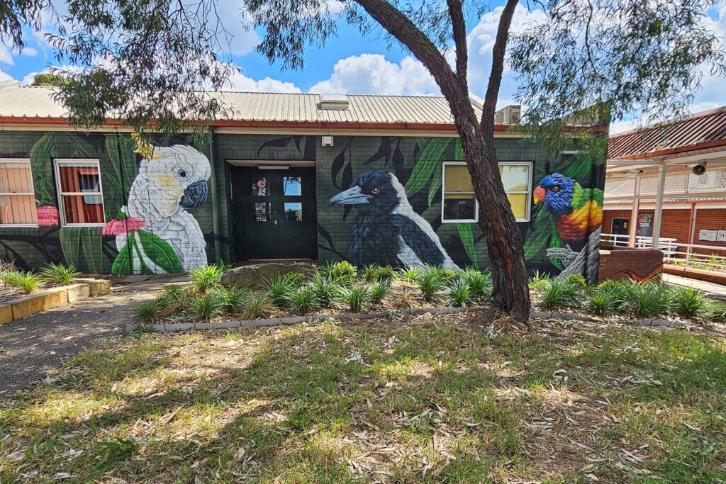 Thomas-Acres-Ps-Native-Mural-10 Australian Bird Mural in Sydney School