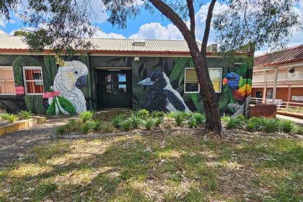 Australian Bird Mural in Sydney School