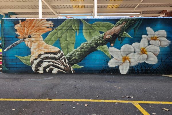 Multi cultural mural of birds for a School in Sydney