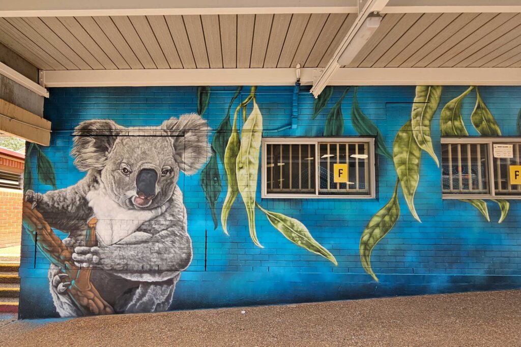 Thomas-Acres-Ps-Native-Mural-5 Koala mural in South West Sydney School grounds