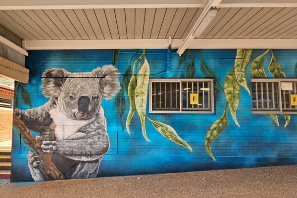 Koala mural in South West Sydney School grounds