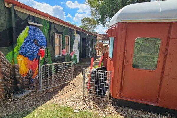 Sydney Train with school mural next to it