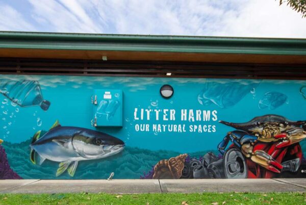 Sydney street artist public art mural