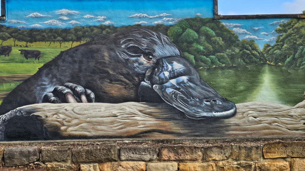 Detail of Camden Rotary mural featuring native wildlife and environmental themes