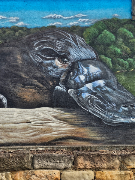 Detail of Camden Rotary mural featuring native wildlife and environmental themes