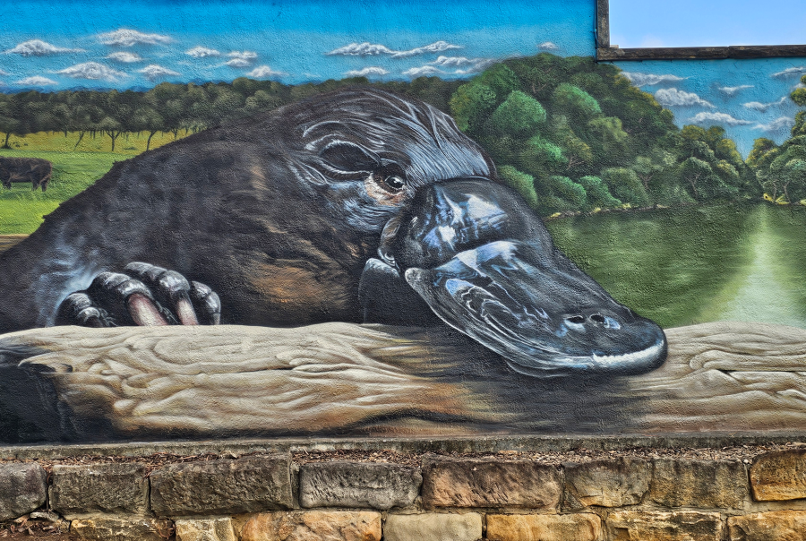 Portfolio 4 Detail of Camden Rotary mural featuring native wildlife and environmental themes
