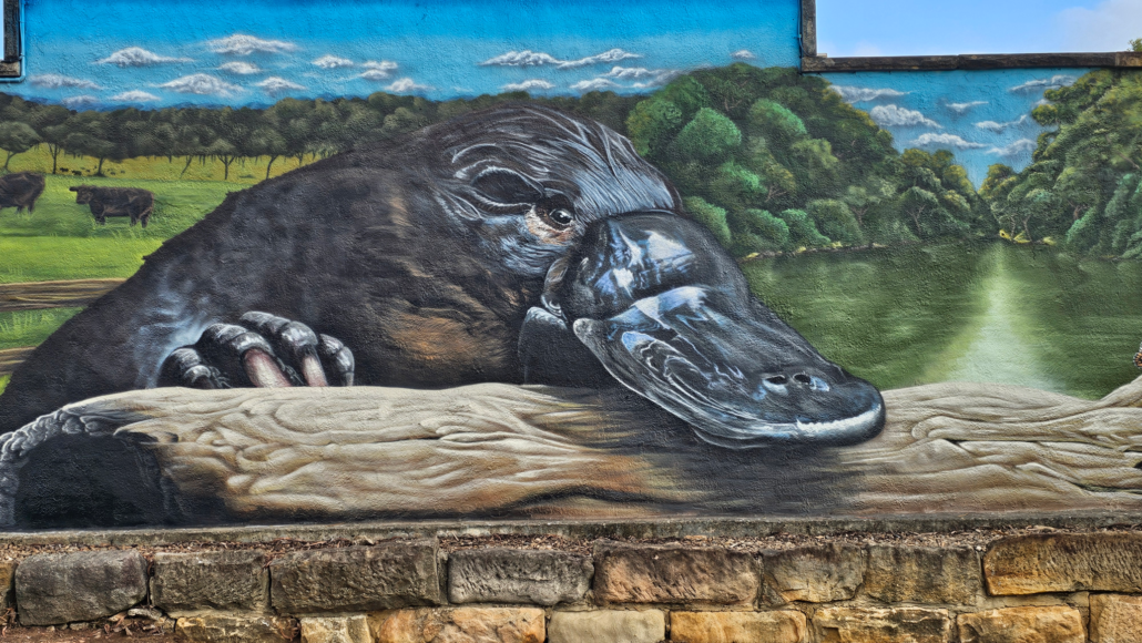 Detailed mural of a platypus in a natural landscape setting.