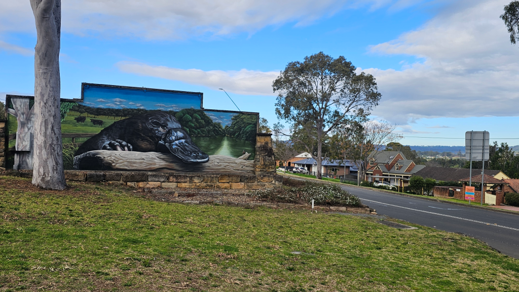 20250814_090650 Platypus mural painted in Camden NSW for the Rotary Club