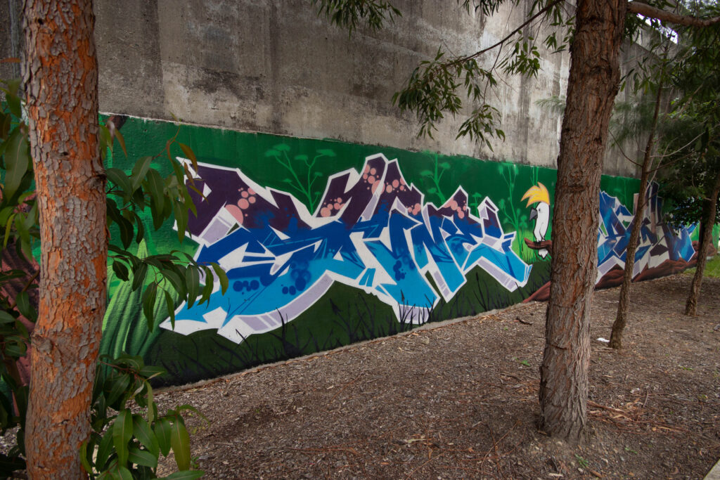 graffiti lettering mural Sydney detailed piece close up