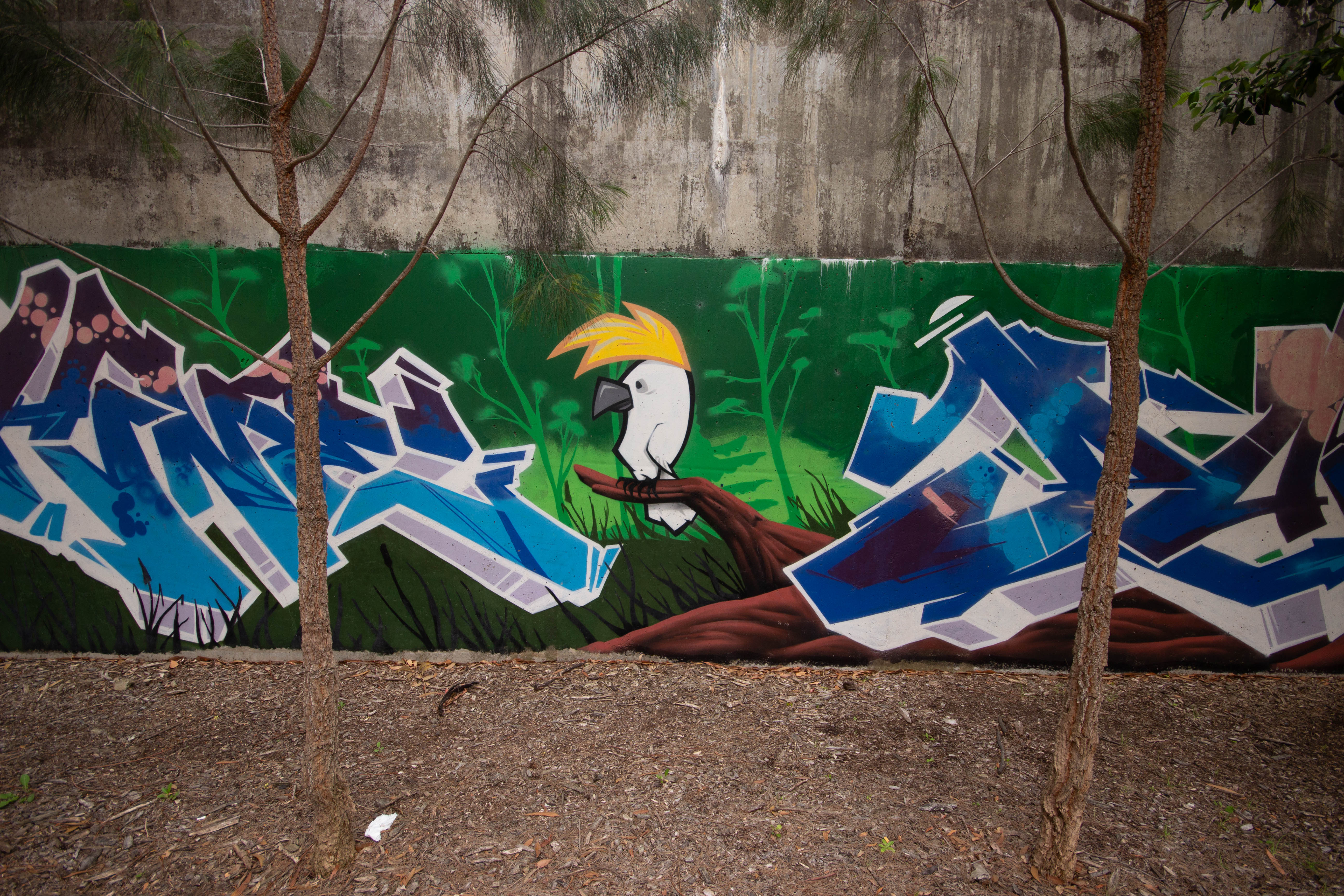completed graffiti mural Sutherland Sydney long wall