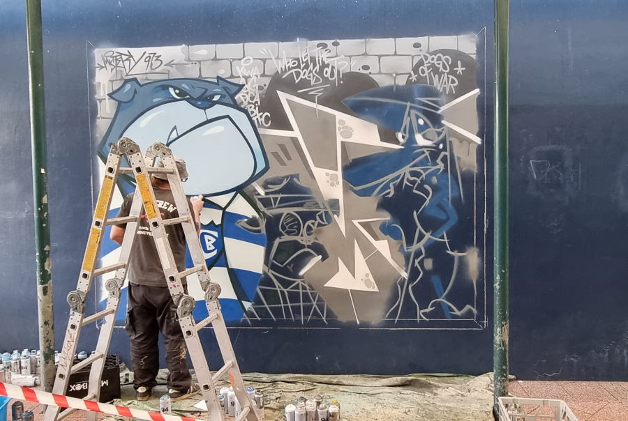 Portfolio 1 Alleyway Gallery Bankstown mural curated project